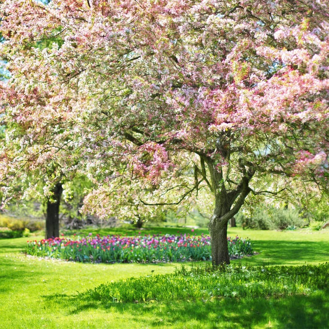 Get Your HVAC Ready for Summer!